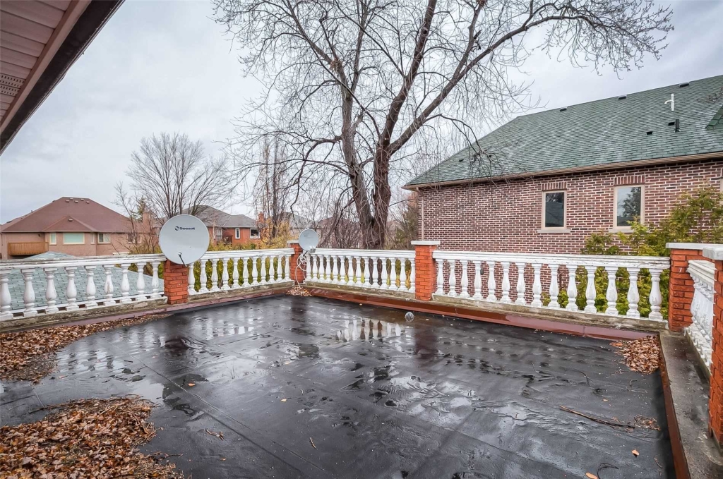 abandoned toronto mansion with mold