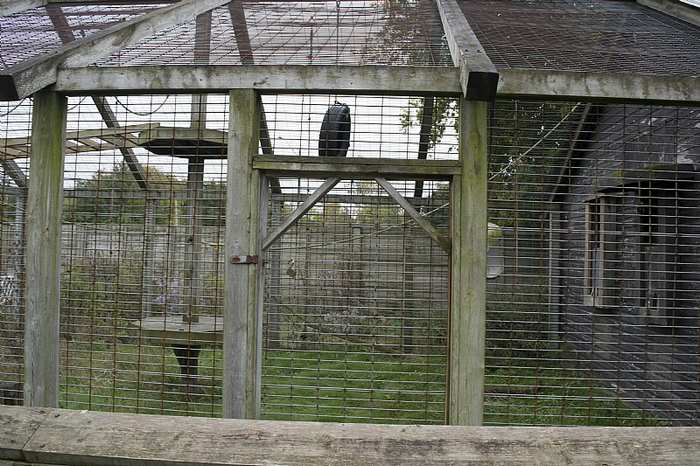 Bowmanville Zoo, abandoned zoo, abandoned Ontario